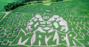 Great Vermont Corn Maze 2017